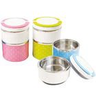 Stainless Steel Lunch Box
